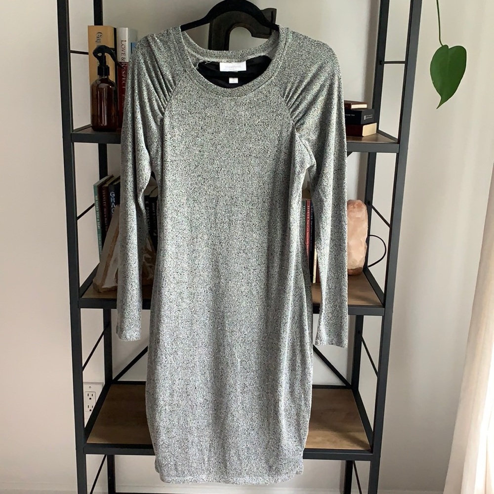 Motherhood Maternity Dress